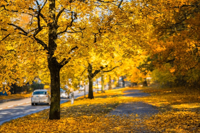 5 Reasons To Sell Your Home This Fall