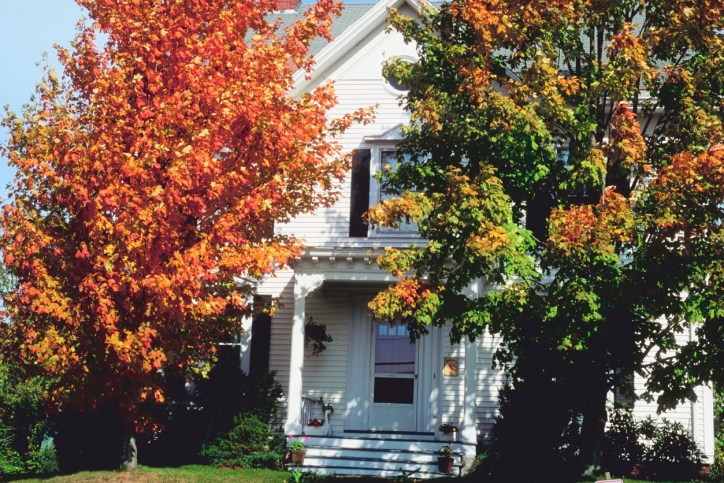 Autumn Home Staging: How to Set Your Home Up to Match the Warm, Rich Colors of Autumn