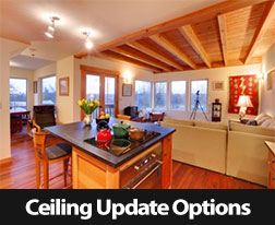 Ceiling Update Options