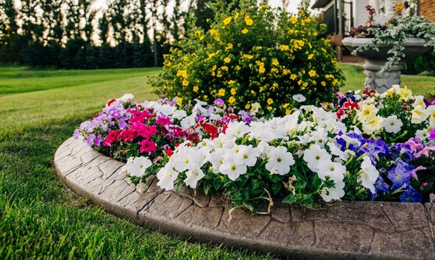 Improve Your Curb Appeal With Low Maintenance Landscaping