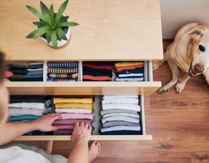 In Less Than An Hour A Day, A Home Can Be Organized Quickly