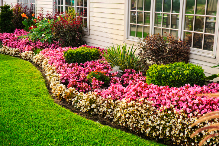 Staging Tips: Let's Talk Landscaping and How to Prepare Your Yard for the Spring Bloom