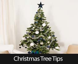 4 Safety Tips For Your Christmas Tree 