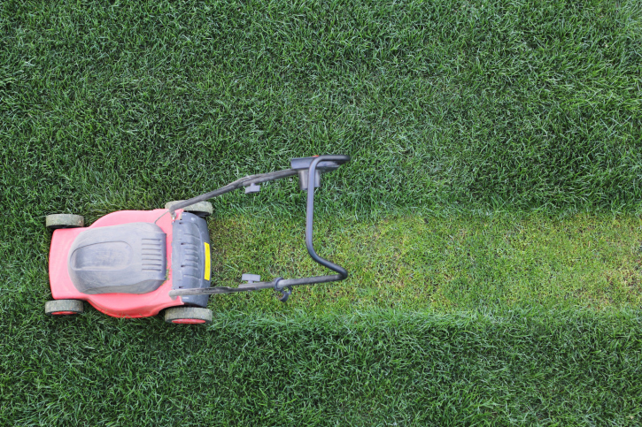 Four Handy Tips for Managing Your Lawn After the Spring Rains Have Arrived 