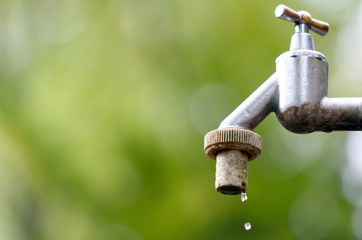Green Living: Water Saving Tips for Spring