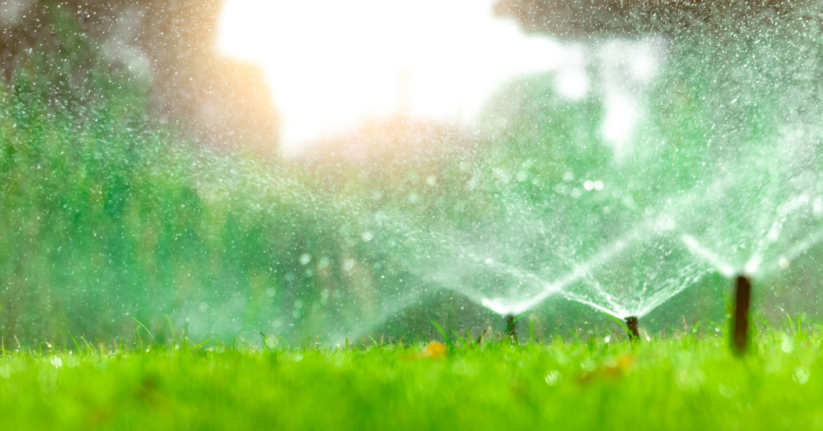 Irrigation Options For Your Yard