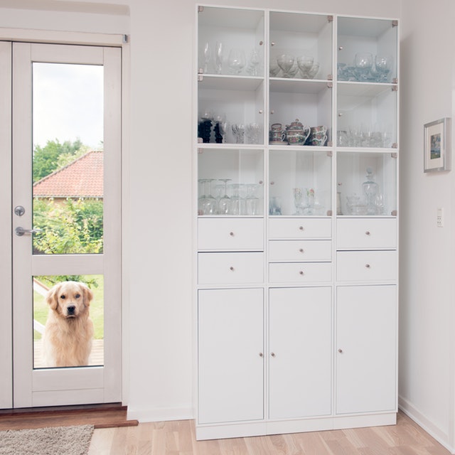 Pros And Cons Of Installing A Pet Door