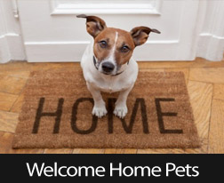 Tips For Buying A Home That Your Pets Will Love